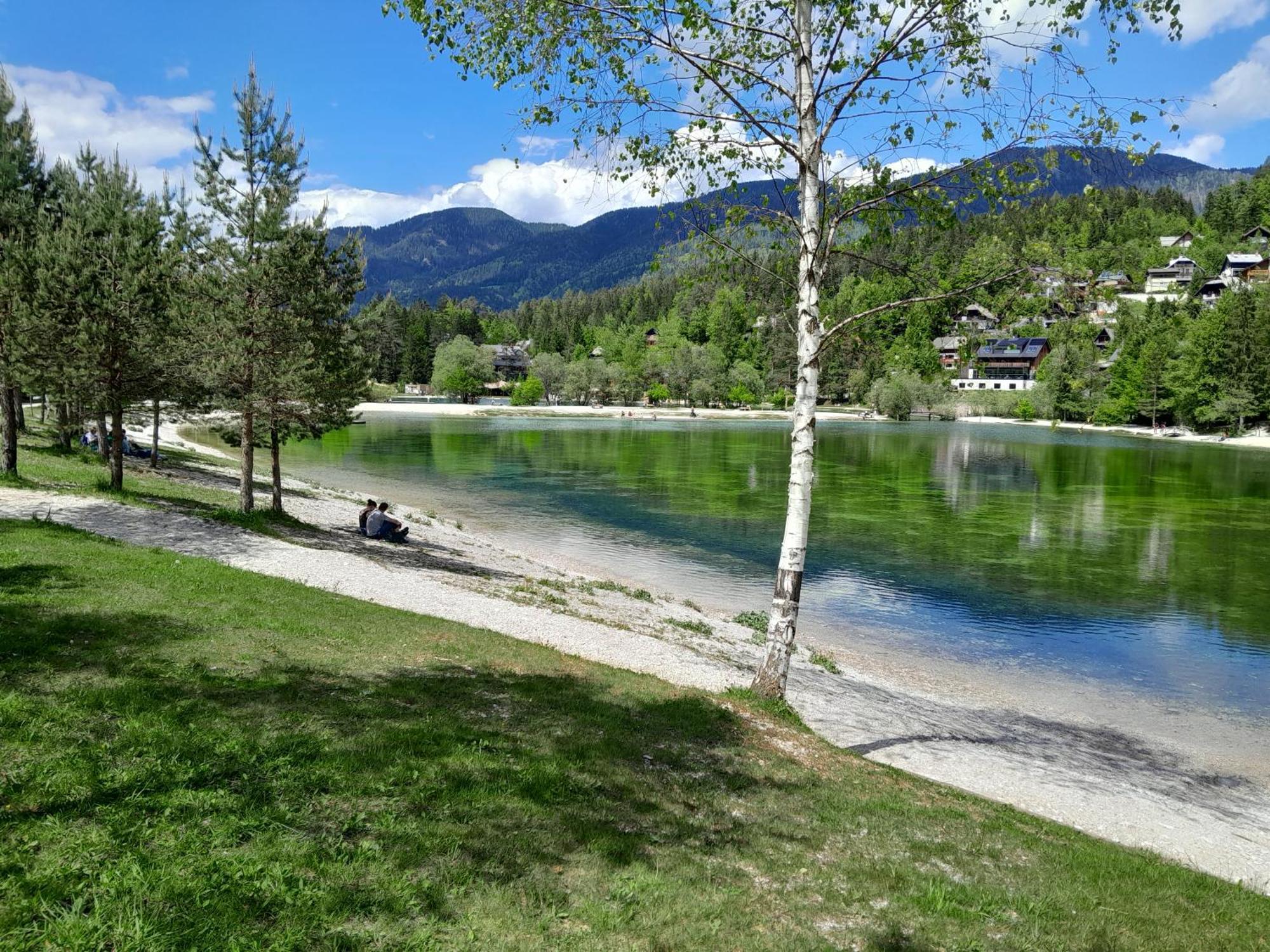 Les Chalet Kranjska Gora I Kültér fotó